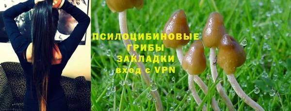 mix Приозерск